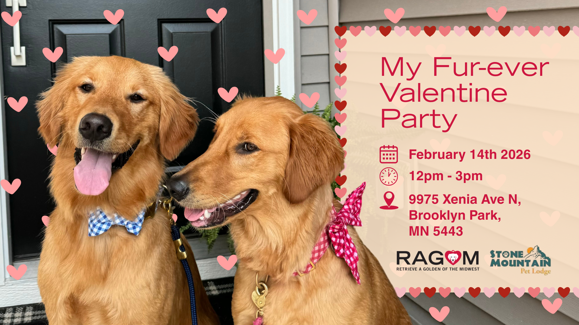 Two happy golden retrievers wearing blue and pink bowties sit together with floating heart graphics. A Valentine-themed event flyer beside them reads ‘My Fur-ever Valentine Party’ with the date February 14, 2026